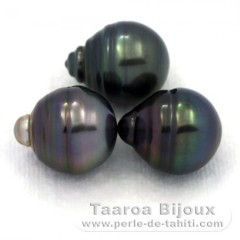 Lot de 3 Perles de Tahiti Cercles C de 12.5  12.7 mm