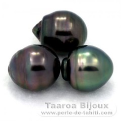 Lot de 3 Perles de Tahiti Cercles C de 12.6  12.7 mm