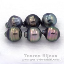 Lot de 6 Perles de Tahiti Cercles C de 8.5  8.8 mm