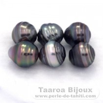 Lot de 6 Perles de Tahiti Cercles C de 8.5  8.6 mm