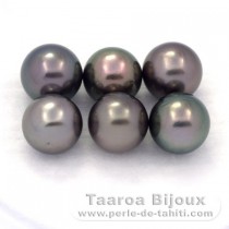 Lot de 6 Perles de Tahiti Rondes C de 9  9.3 mm