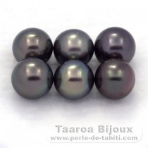 Lot de 6 Perles de Tahiti Rondes C de 9  9.2 mm