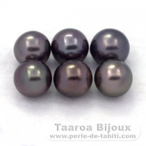 Lot de 6 Perles de Tahiti Rondes C de 8  8.3 mm