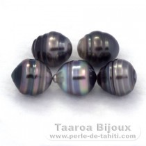 Lot de 5 Perles de Tahiti Cercles C de 9.5  10 mm