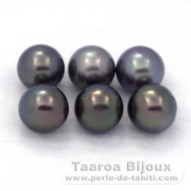Lot de 6 Perles de Tahiti Rondes C de 8.5  8.8 mm