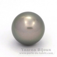 Superbe perle de Tahiti Ronde B/C 14.8 mm