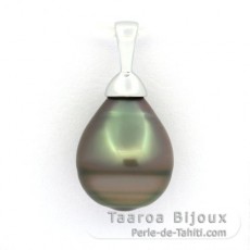 Pendentif en Argent et 1 Perle de Tahiti Cercle B 10.6 mm