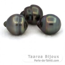 Lot de 3 Perles de Tahiti Cercles C de 11.5  11.9 mm