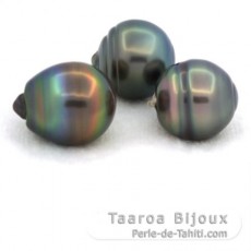 Lot de 3 Perles de Tahiti Cercles C de 13  13.2 mm