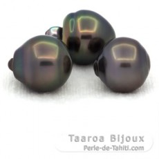 Lot de 3 Perles de Tahiti Cercles B de 12  12.3 mm