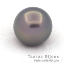 Superbe perle de Tahiti Ronde A/B 12.7 mm