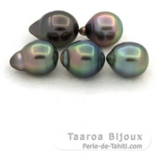 Lot de 5 Perles de Tahiti Cercles B de 8.3  8.9 mm