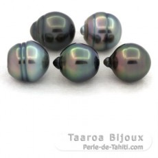 Lot de 5 Perles de Tahiti Cercles B de 10  10.4 mm