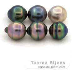 Lot de 6 Perles de Tahiti Cercles B+ de 9.1  9.4 mm