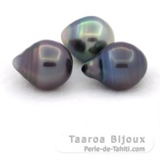 Lot de 3 Perles de Tahiti Cercles C de 10.5  10.8 mm