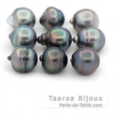 Lot de 9 Perles de Tahiti Cercles C de 11  11.4 mm