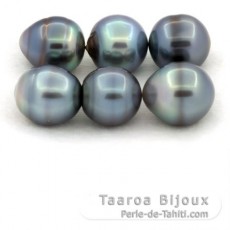 Lot de 6 Perles de Tahiti Cercles C de 12.5  13.1 mm