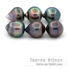 Lot de 6 Perles de Tahiti Cercles B/C de 10.5  10.9 mm