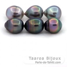 Lot de 6 Perles de Tahiti Cercles B/C de 10.5  10.8 mm