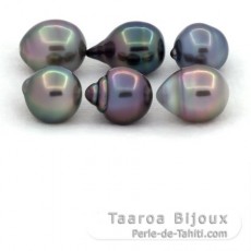 Lot de 6 Perles de Tahiti Cercles B/C de 10  10.4 mm