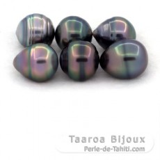 Lot de 6 Perles de Tahiti Cercles C de 11  11.5 mm