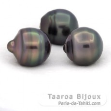Lot de 3 Perles de Tahiti Cercles C de 12  12.4 mm
