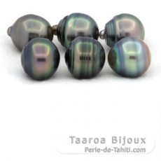 Lot de 6 Perles de Tahiti Cercles C de 12  12.3 mm