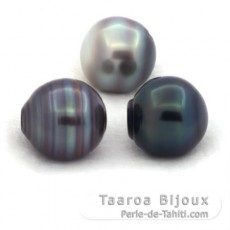 Lot de 3 Perles de Tahiti Cercles C 13 mm