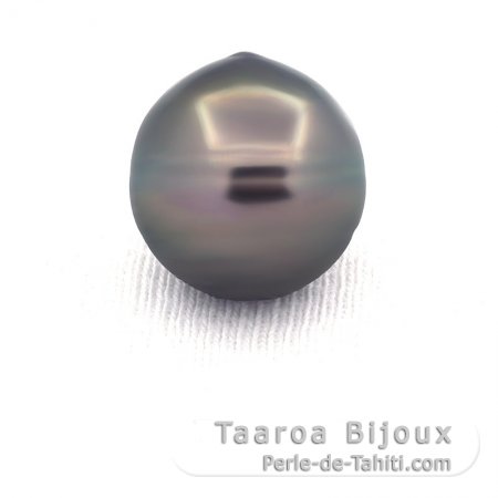 Superbe perle de Tahiti Cercle C 14.1 mm