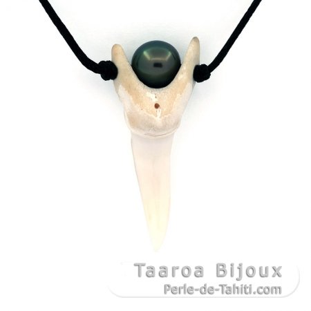 Collier en Coton, Dent de requin Mako et 1 Perle de Tahiti Semi-Ronde C 7.8 mm