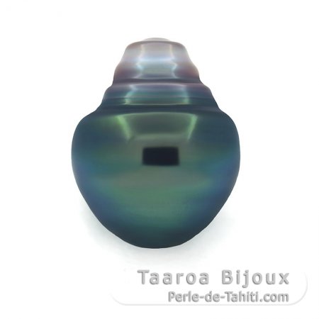 Superbe perle de Tahiti Cercle B/C 12.2 mm