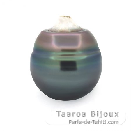 Superbe perle de Tahiti Cercle C 14 mm