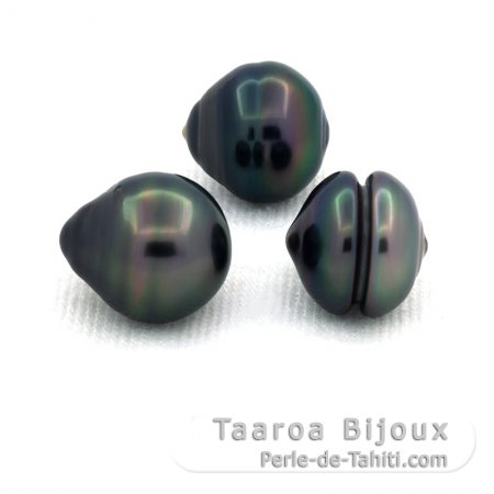 Lot de 3 Perles de Tahiti Cercles C de 10  10.2 mm