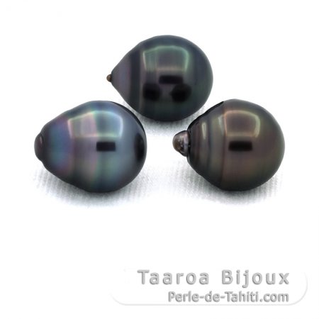 Lot de 3 Perles de Tahiti Cercles C de 11.3  11.4 mm