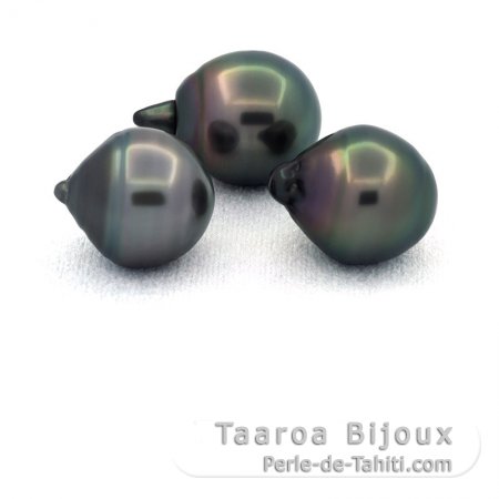 Lot de 3 Perles de Tahiti Cercles C de 11.6  11.7 mm