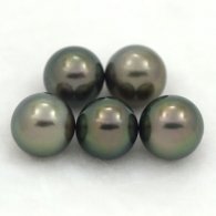 Lot de 5 Perles de Tahiti Semi-Rondes C de 9  9.3 mm
