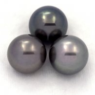 Lot de 3 Perles de Tahiti Rondes C de 11.6  11.9 mm