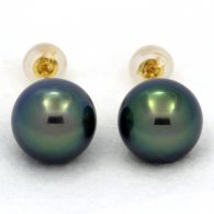 Boucles d'oreilles en Or 18K et 2 Perles de Tahiti Rondes C+ 9.9 mm
