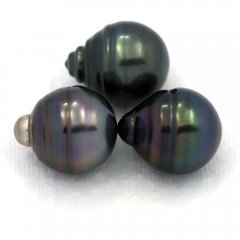 Lot de 3 Perles de Tahiti Cercles C de 12.5  12.7 mm