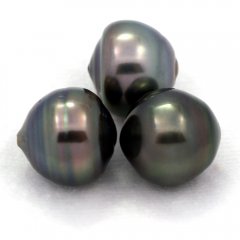 Lot de 3 Perles de Tahiti Cercles C de 12  12.3 mm