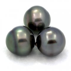 Lot de 3 Perles de Tahiti Cercles C de 12.6  12.9 mm