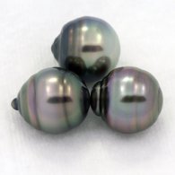 Lot de 3 Perles de Tahiti Cercles B de 9.6  9.7 mm