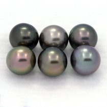 Lot de 6 Perles de Tahiti Rondes C de 8.2  8.4 mm