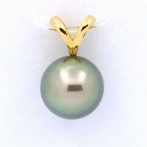 Pendentif en Or 18K et 1 Perle de Tahiti Ronde A 9.5 mm