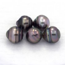Lot de 5 Perles de Tahiti Cercles C de 8.5  8.8 mm