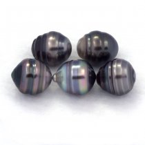 Lot de 5 Perles de Tahiti Cercles C de 9.5  10 mm