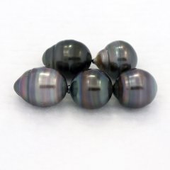 Lot de 5 Perles de Tahiti Cercles C/D de 9.4  9.6 mm