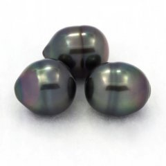 Lot de 3 Perles de Tahiti Cercles B de 9.2  9.7 mm