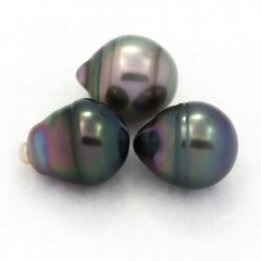 Lot de 3 Perles de Tahiti Cercles B de 9.3  9.6 mm