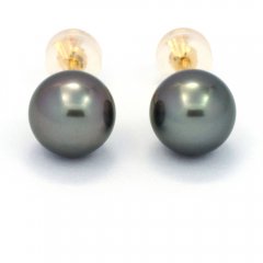 Boucles d'Oreilles en Or 18K et 2 Perles de Tahiti Rondes B 8 mm